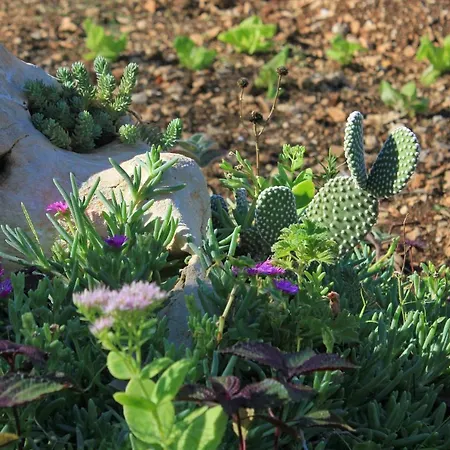 Okrug Gornji 8440c 公寓 *