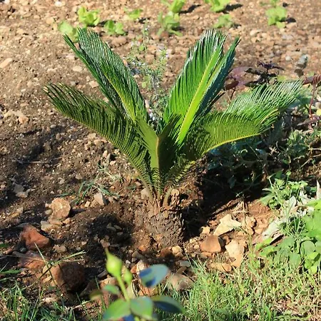 Okrug Gornji 8440c *